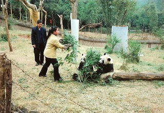 �����ނ�ɍ�