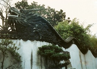 ���� �����˂���